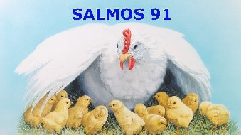 Salmos91